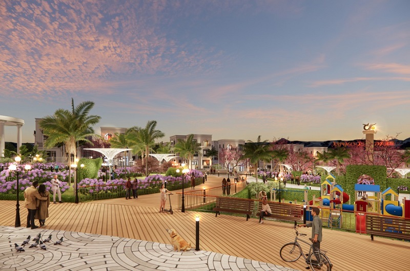 Dragon Complex Premium